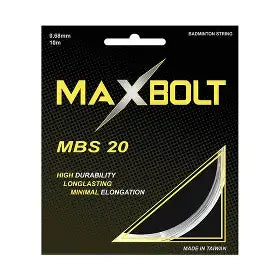 MBS 20